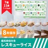 10008161 レスキューライス 7種類 8年保存 アルファ化米 EVERSAFE 82263058