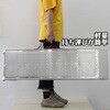 AR07H-28-H-PR ラダーレール 長さ215cm 耐荷重680kg Ruedamann 82264221