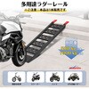 SRX83FBK-100-PC スチールラダーレール 高強度 耐荷重500kg Ruedamann 82264230