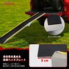 AR20BFW-180CM-PR ラダーレール 長さ180cm 耐荷重600kg Ruedamann 82264248