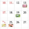 SG293 【名入れ】四季の花もよう レスタス 82301506