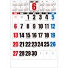 SG551 【名入れ】3色ジャンボ文字 年間予定表付 レスタス 82301725