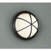 DWP-40237Y LED屋外ブラケット DAIKO(大光電機) 82316931
