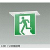 DEG-42559 防災照明/誘導灯 DAIKO(大光電機) 82318760