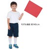19376 小旗(赤/白) アーテック[学校教材・教育玩具] 82332857