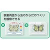 93134 昆虫観察図鑑づくり アーテック[学校教材・教育玩具] 82333006