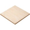 20384 安全版画ベニヤ 正方形 150×150×4mm アーテック[学校教材・教育玩具] 82333015