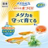 - メダカ元気 はぐくむ水づくり ジェックス 82333390