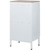 ATF-PL4MW パーソナルストレイジ ナカバヤシ 82336996