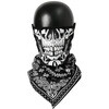 TBE1113 RIDEZ Bandana EarsLoops TBE1113 SKULL&PAISELY RIDEZ(ライズ) 82344371