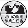 腕章/バッジ/ヘルメット用ステッカーカテゴリ