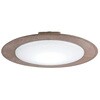 CE-50BR 木目調枠 LED小型シーリングライト スワン電器 82483165