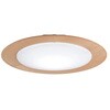 CE-50NA 木目調枠 LED小型シーリングライト スワン電器 82483190