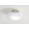 CE-2010 LED小型シーリングライト スワン電器 82483217