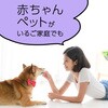 4901080342713 マモルーム ムカデ用 2ヵ月用セット アース製薬 82491030