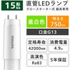 LDF15N/5/8/2P グロー式専用直管LEDランプ 15形 フィリップス 82507595