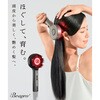 beap025-gm スカルプブラシ(LED光+液体タンク搭載) TAIGASHOJI(大河商事) 82510499