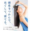 beap025-gm スカルプブラシ(LED光+液体タンク搭載) TAIGASHOJI(大河商事) 82510499