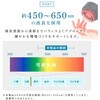 beap025-gm スカルプブラシ(LED光+液体タンク搭載) TAIGASHOJI(大河商事) 82510499