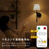 wase102-bk-3000 アンティークウォールライト TAIGASHOJI(大河商事) 82513150