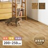 700044012 超高密度のフローリング調ラグ フロテックス 萩原 82515225