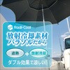 30A0039 パラソル(単品) ラディクール仕様 BMO JAPAN(ビーエムオージャパン) 82528105