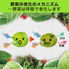 ST91026 新鮮番 エステーPRO(旧:エステートレーディング) 82606968