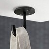 DFHK-RWT60-BL ステンレス鋼製フック DFHK diffuL 82622806