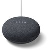 Google Nest Mini Google