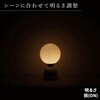 wass099-iv オーブ型インテリアライト TAIGASHOJI(大河商事) 82673590