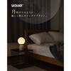 wass099-iv オーブ型インテリアライト TAIGASHOJI(大河商事) 82673590