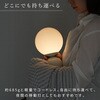 wass099-iv オーブ型インテリアライト TAIGASHOJI(大河商事) 82673590