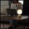 wass099-iv オーブ型インテリアライト TAIGASHOJI(大河商事) 82673590
