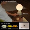 wass099-iv オーブ型インテリアライト TAIGASHOJI(大河商事) 82673590