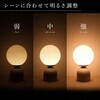 wass099-iv オーブ型インテリアライト TAIGASHOJI(大河商事) 82673590