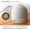 wass099-iv オーブ型インテリアライト TAIGASHOJI(大河商事) 82673590
