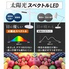 wass101-wh LED デスクライト TAIGASHOJI(大河商事) 82673608