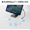 500-USB101 変換ケーブル USB TypeC-USB TypeC サンワダイレクト 82733580