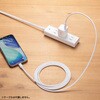 ACA-PD113W AC充電器 USB PD対応 PD20W サンワサプライ 82734176