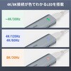 USB-10TCHPS39S USBハブ USB 10Gbps HDMIポート付き サンワサプライ 82734788
