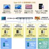 USB-10TCHPS39S USBハブ USB 10Gbps HDMIポート付き サンワサプライ 82734788
