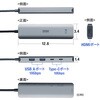 USB-10TCHPS39S USBハブ USB 10Gbps HDMIポート付き サンワサプライ 82734788