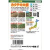 504141 【種 たね タネ】注目のアジア野菜 カクテキ 大根 アタリヤ農園 82768975