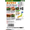 503946 【種 たね タネ】注目のアジア野菜 エンツァイ アタリヤ農園 82769009