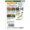504189 【種 たね タネ】注目のアジア野菜 ナムル ほうれん草 アタリヤ農園 82769061