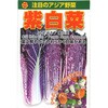 504158 【種 たね タネ】注目のアジア野菜 紫 白菜 はくさい アタリヤ農園 82769070