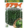 504172 【種 たね タネ】注目のアジア野菜 タアサイ アタリヤ農園 82769097