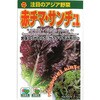 504165 【種 たね タネ】注目のアジア野菜 赤チマ・サンチュ アタリヤ農園 82769149