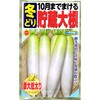 504233 【種 たね タネ】10月まで蒔ける貯蔵 大根 アタリヤ農園 82769158