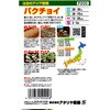 504028 【種 たね タネ】注目のアジア野菜 パクチョイ アタリヤ農園 82769246